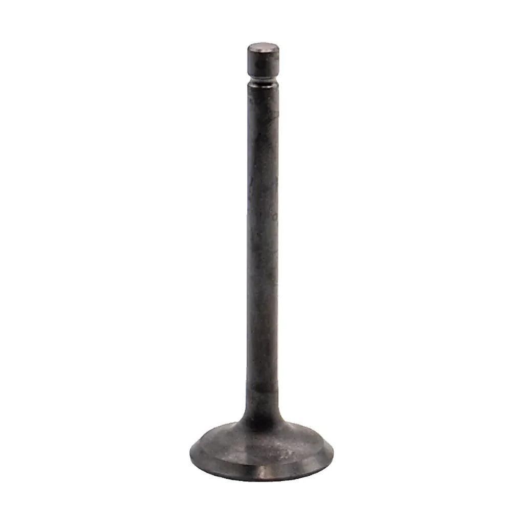 Soupape d'admission OEM pour JCB 801