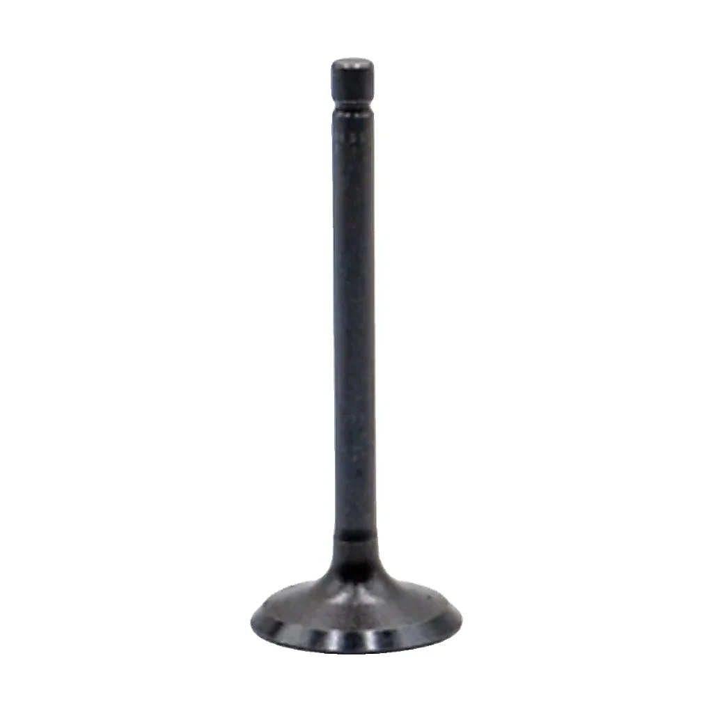 Soupape d'admission mini de pelle pour Perkins 403D-11 compatible pour JCB mini-pelle