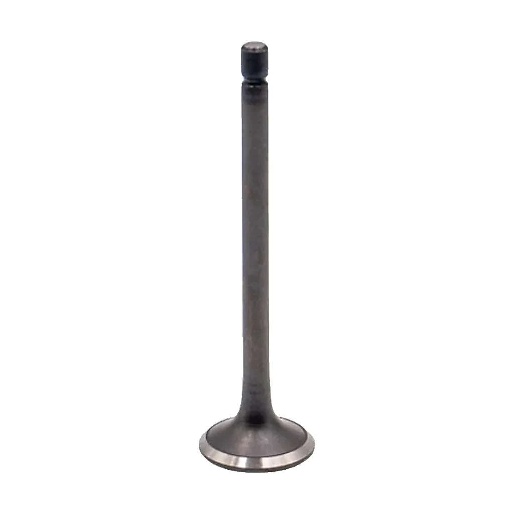 Soupape d'échappement pour Isuzu 4JJ1 compatible pour JCB pelle sur chenilles