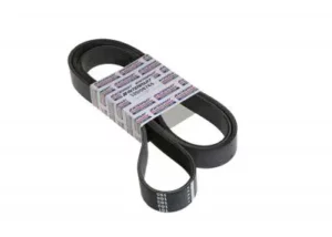 COURROIE 8PK1857 JCB REF 320/08765