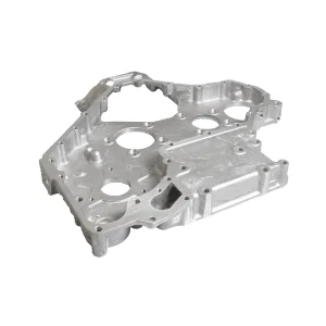 Timing Case JCB REF 02/202274