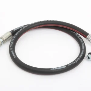 Guarnizione - Acorn - P/S/R/ JCB REF 813/00275