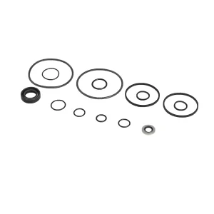 Kit guarnizioni JCB REF 988/00066