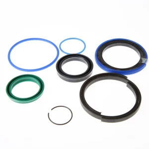 Kit guarnizioni JCB 30 x 60 REF 991/00052P