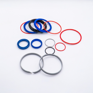 KIT GUARNIZIONI 50x110 PER JCB REF 991/00126