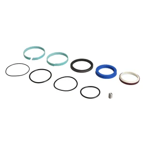 Seal Kit - Bucket Ram (Mini) JCB REF 991/10113